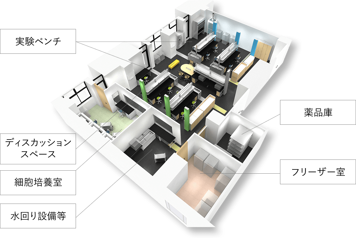 CoLaborator Kobeの実験室概観。実験ベンチ、ディスカッションスペース、細胞培養室、薬品庫、水回り設備、フリーザー室からなる。